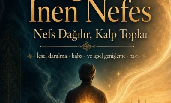 Sedat TAY